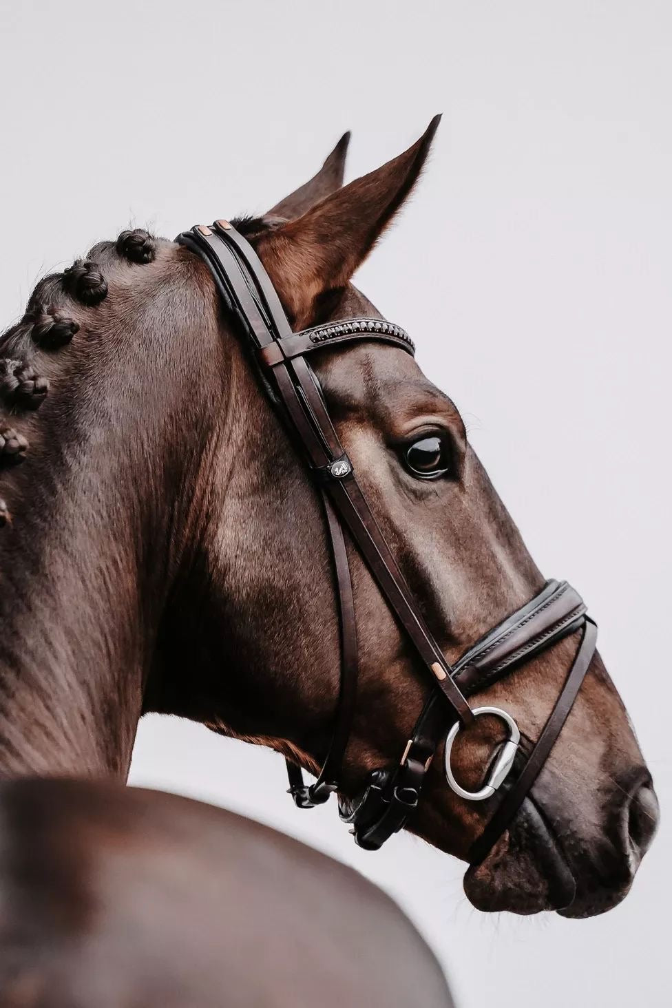 Equestrian necklace