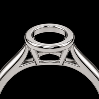 Bezel