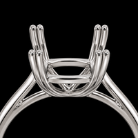 Double Prong